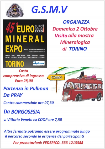 Locandina Gita &quot;Euro Mineral Expo Torino&quot;