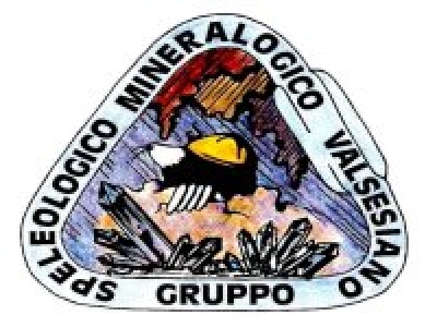 Logo GSMV